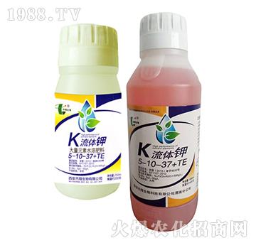 ���w�5-10-37+TE-��������