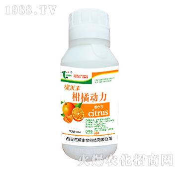 ���ل���-�G���S-��������