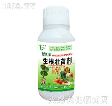 �������焩-�G���S-��������