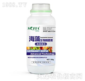 ��������̼���-���Ɓ�