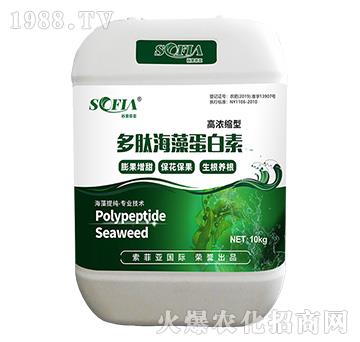 ���ĺ��嵰����-���Ɓ�