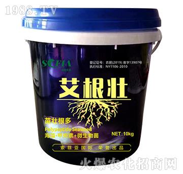 �����ѣ�Ͱ��-���Ɓ�