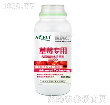 ��ݮ��(zhu��n)�ú���ֲ��ˮ�ܷ���-���Ɓ�