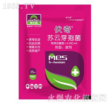 �K�ơ�ѿ�߾�-����-����ɭ