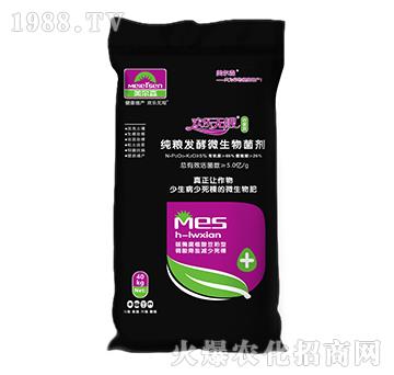 ���Z�l(f��)��΢�������-�g���o(w��)�޺ϼҚg-����ɭ