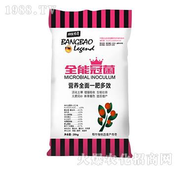 ȫ�ܹھ�΢�������-�����-��ʘI(y��)