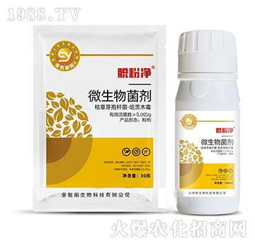 ΢�������-Ó�ۃ�-���(y��ng)