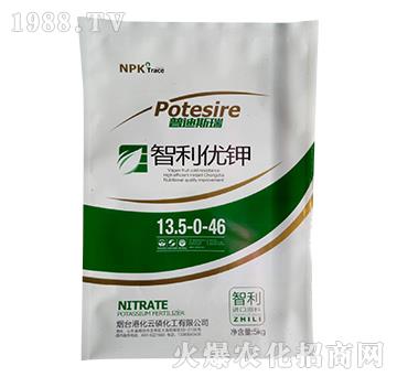 ������(y��u)�13.5-0-46-�յ�˹��-�ۻ�����