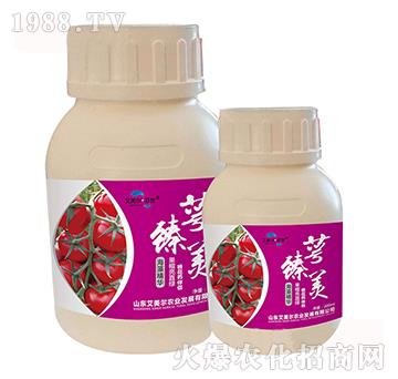 ���徫�A-������-�����������u-������