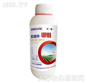 �W�S�ˡ����f-�A�˱���