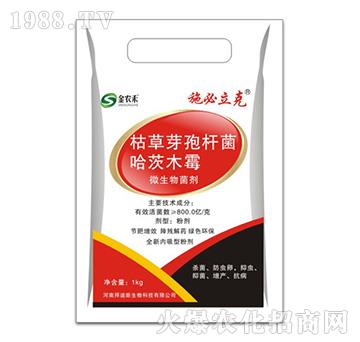 ΢�������-ʩ������-�ݵ�˹