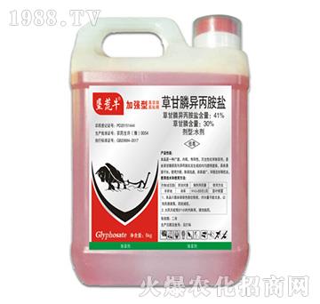 5kg�ݸ�좮������}-����ţ-�ݵ�˹