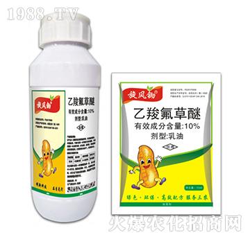 10%���ȷ�����-���L(f��ng)�z-�ݵ�˹