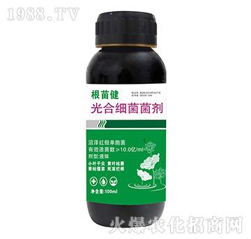 ��ϼ�������-���罡-����