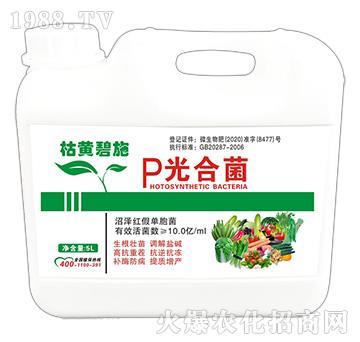 P��Ͼ�-���S��ʩ��Ͱ��-����