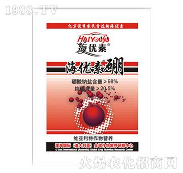 ����(y��u)����-�S������