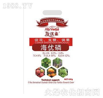 ����(y��u)��-�S������