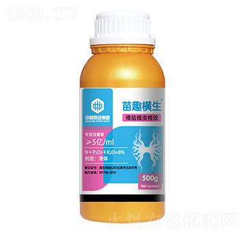 ���Y(ji��)���x(ch��ng)��(zhu��n)��-��Ȥ�M��-��ֲ(li��n)��