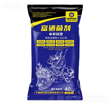 �в�ˎ�͸�������-��ֲ(li��n)��