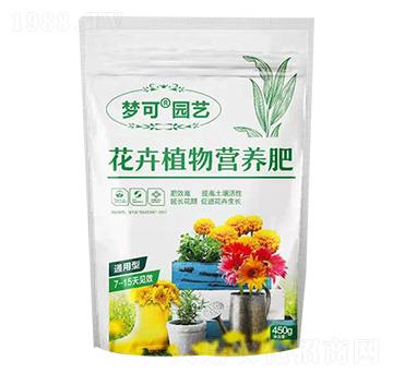 ����ֲ��I�B(y��ng)��-���Ɉ@ˇ-�ڱ���