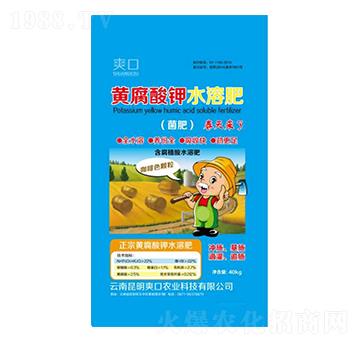 �S�����ˮ�ܷ�-ˬ��-