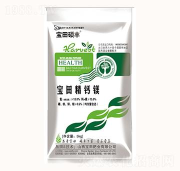 �����}�V-����ʘI(y��)