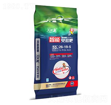 ������׷��26-19-5-�����