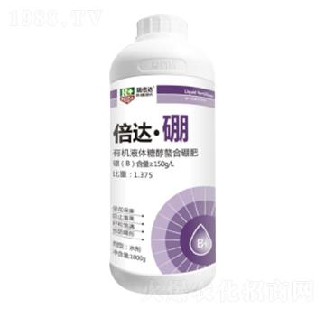 1000g���_(d��)����-��