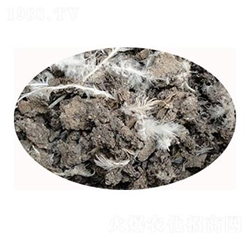 干雞糞廠家-必豐生物