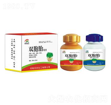 �p��̥�M�����r����