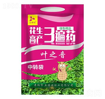 ֥��߮a3��ˎ-�~֮��-����