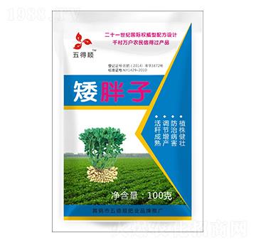 ������-����-����