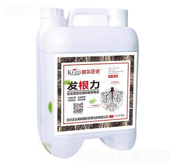 �l(f��)�����ͺϾ��l(f��)��ĸҺ��-�لP��