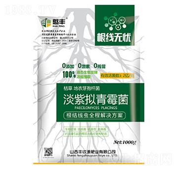 �����o�n-�S��Դ