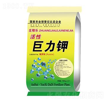 ���Ծ����-�f�ژ�-��ػ���