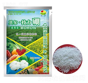 �䠖��������-���-��ػ���