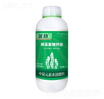 ��������}�V-��(y��u)��-����