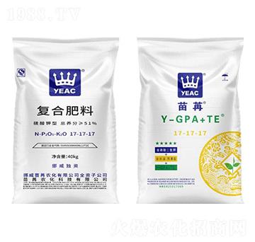 �ͺϷ���17-17-17-����