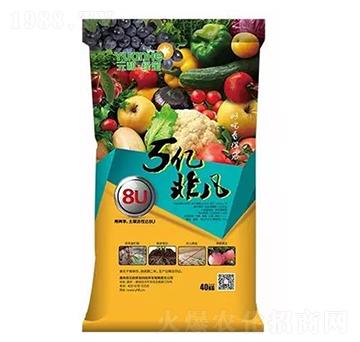 5�|�Ƿ�-Ԫ���r�I(y��)