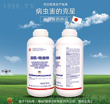 20%���衤���x(ch��ng)��-��ռ�r(n��ng)�Y