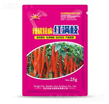 ���������t�M֦-�������