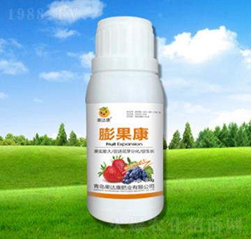 �����-���_���ʘI(y��)