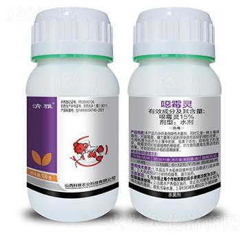 15%�fù�`-����-���h�r(n��ng)�I(y��)