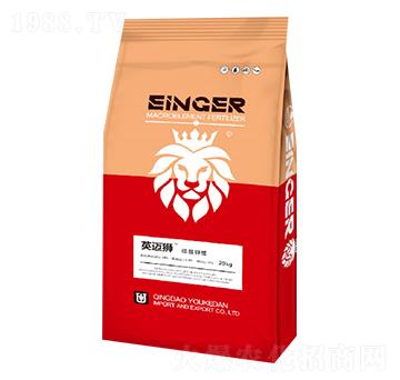 ������V-Ӣ�~�{-��(y��u)�ɵ�