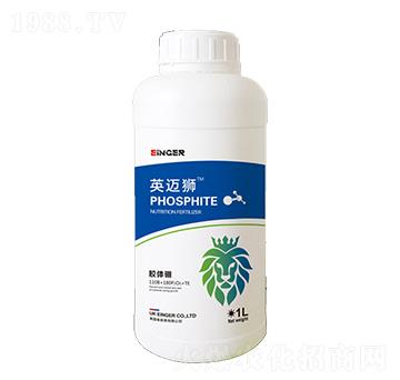 �z�w��-Ӣ�~�{-��(y��u)�ɵ�