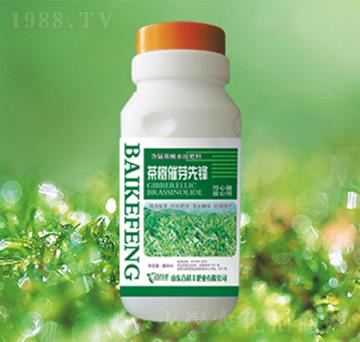 ����ѿ���h-�ٿ��S