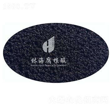 ������ֲ��-�ֺ���ֲ��