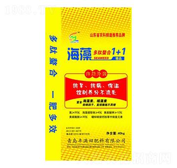 �����������1+1-�S�M��