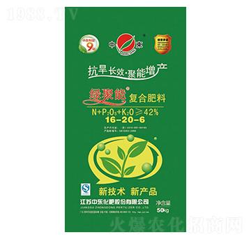 �ͺϷ���16-20-6