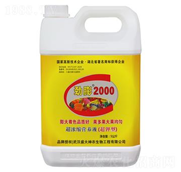 ����2000-ʢ������